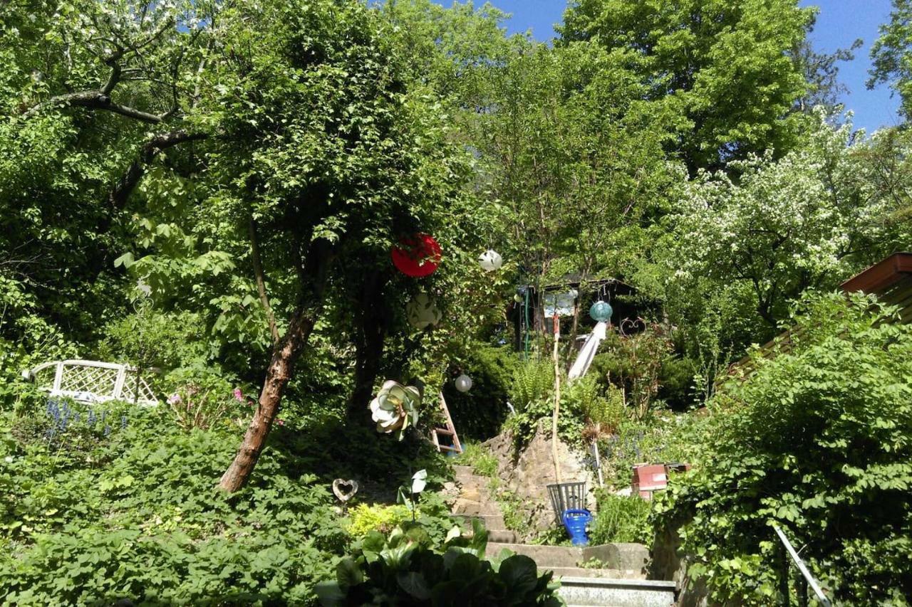 Ruhige, Grosse Ferienwohnung Am Muehlberg, Stadtrand Vienna Luaran gambar